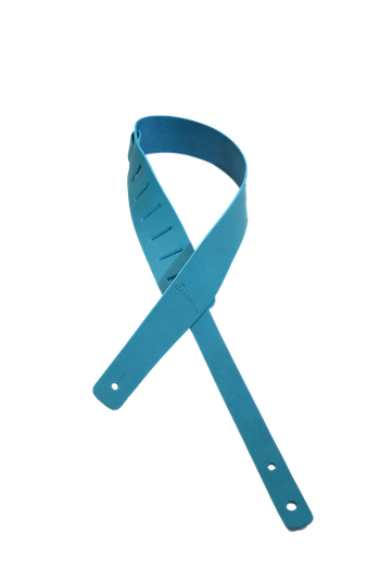 イーストマンストラップ ターコイズブルーのコピー.png