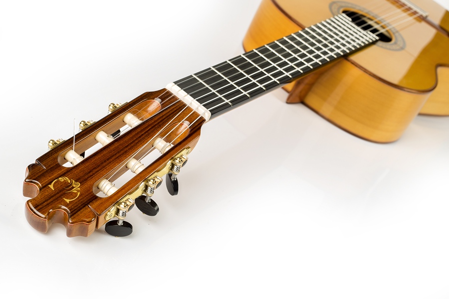 スペシャル ブランカ